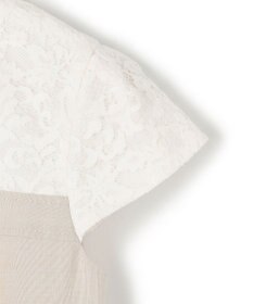 TOCCA 【sweet掲載】【洗える・消臭】LACE A LA CARTE ドレス