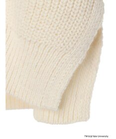 AMERICAN HOLIC ＴＭ＆Ｒ　ＹａｌｅＵｎｉｖｅｒｓｉｔｙニットカーディガン