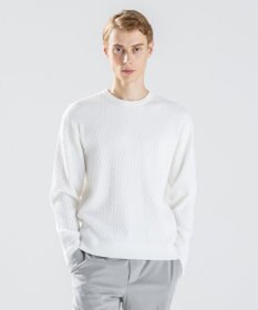 JOSEPH HOMME 【新柄】 ヴィスコースリンクス　クルーネックニット