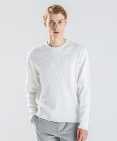 JOSEPH HOMME 【新柄】 ヴィスコースリンクス　クルーネックニット