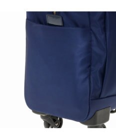 ACE BAGS & LUGGAGE Jewelna Rose アメリー カジュアルトローリー 31591 ジュエルナローズ 機内持ち込み