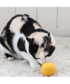 PET PARADISE ペットパラダイス 猫 羊毛 ボール 【単品】