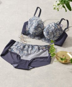 Wing Wing Lesiage　【2750シリーズ】ブラジャー　脇すっきり　ウイング／ワコール　PB2750