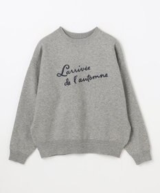 ANY 刺繍ロゴニット