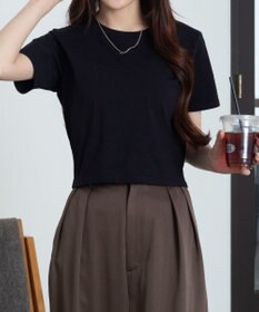 WEGO 【7色/SMLサイズ展開】コンパクトフィットT