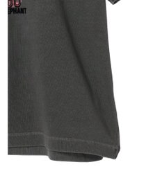 AMERICAN HOLIC フロッキーＰｔフェード加工Ｔ／Ｄｕｍｂｏ