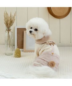 PET PARADISE ペットパラダイス くまちゃん パンツつなぎ 小型犬