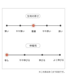 PET PARADISE J.PRESS  ビエラチェック シャツ 【小型犬】