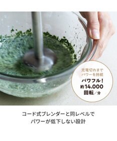 YAMATO テーブル＆キッチン 【レコルト】コードレスハンディブレンダー  レッド  RHB-2(R)