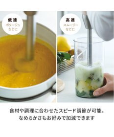 YAMATO テーブル＆キッチン 【レコルト】コードレスハンディブレンダー  レッド  RHB-2(R)