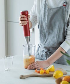 YAMATO テーブル＆キッチン 【レコルト】コードレスハンディブレンダー  レッド  RHB-2(R)
