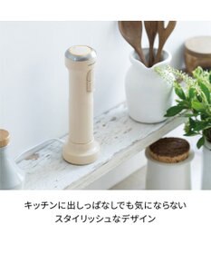 YAMATO テーブル＆キッチン 【レコルト】コードレスハンディブレンダー  レッド  RHB-2(R)