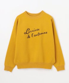 ANY 刺繍ロゴニット