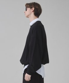 WEGO 【ユニセックス着用ITEM】バルーンクロップドプルオーバー