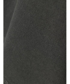 AMERICAN HOLIC フロッキーＰｔフェード加工Ｔ／Ｄｕｍｂｏ