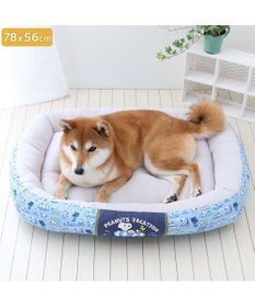 PET PARADISE スヌーピー クールカドラー 角型《バケーション柄》 中型犬