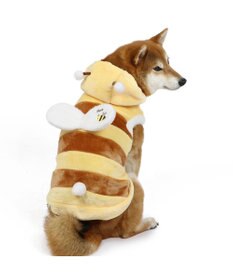 PET PARADISE ペットパラダイス パーカー 《蜂 なりきり》 中型犬 大型犬