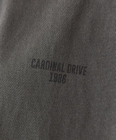 AMERICAN HOLIC バックロゴルーズＴシャツ