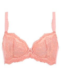 BRADELIS New York 【BRADELIS New York/ 育乳補整ブラ・STEP2 寄せる】ローズステップ2ブラ24A1  谷間を作ってキープする補正ブラ