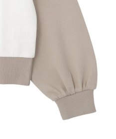 CRAFT STANDARD BOUTIQUE フクレジャカードラグランプルオーバー