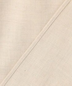 GOTAIRIKU 【洗える】コットンフラノシャツ_ カッタウェイカラー