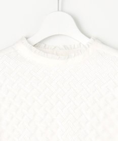 J.PRESS LADIES パウダリーツイルレースコンビ カットソー