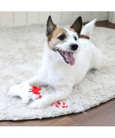 PET PARADISE ディズニー ミニーマウス 《手のロープトイ》 犬用おもちゃ