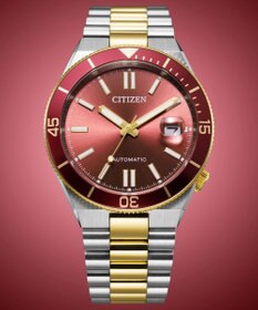 CITIZEN 【メカニカルウオッチ TSUYOSA】豊富なカラーバリエーションが人気の機械式腕時計 NJ0234-58X