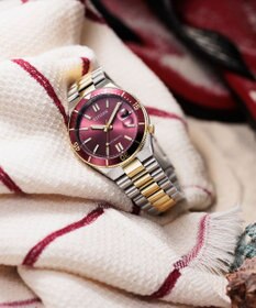 CITIZEN 【メカニカルウオッチ TSUYOSA】豊富なカラーバリエーションが人気の機械式腕時計 NJ0234-58X