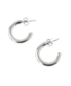 Green Parks ｅｖｅｒｙｗａｌｋ．ステンレスチャンキーフープピアス