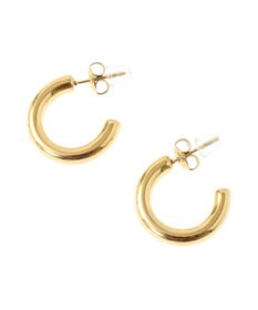 Green Parks ｅｖｅｒｙｗａｌｋ．ステンレスチャンキーフープピアス