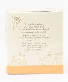 TOCCA CANDLE キャンドル