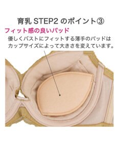 BRADELIS New York 【BRADELIS New York/ 育乳補整ブラ・STEP2 寄せる】ナオミステップ2ブラ24A1