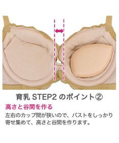 BRADELIS New York 【BRADELIS New York/ 育乳補整ブラ・STEP2 寄せる】ナオミステップ2ブラ24A1
