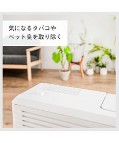YAMATO テーブル＆キッチン 【TWINBIRD】パーソナル加湿空気清浄機  ホワイト  AC-4252W