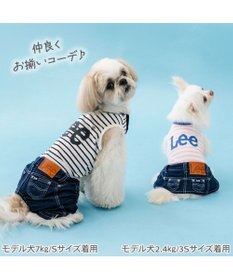 PET PARADISE Lee 鹿の子 ボーダー スカートつなぎ 小型犬