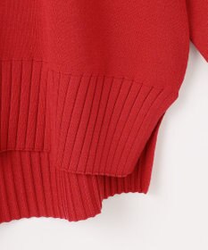 ANY L 【新色追加】ハイネックデイリーニット