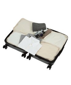 ACE BAGS & LUGGAGE ACE フォールズ スーツケー  4~5泊目安 フロントポケット・キャスターストッパー機能付き 06906 エース