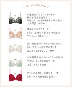 Wing ブラジャー Wing Lesiage 自然なまるみシルエット ソフトなつけごこち 【2960シリーズ】 ブラ PB2960 ウイング／ワコール