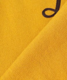 ANY 刺繍ロゴニット