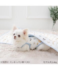 PET PARADISE ディズニー ミッキーマウス ブランケット 《パン柄》