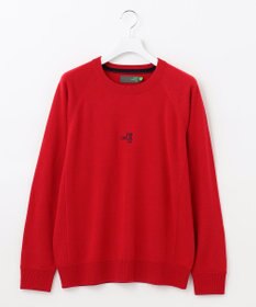 PW CIRCULUS 【MEN】【洗える】ロゴ ラグランスリーブ クルーネック ニット