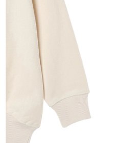 AMERICAN HOLIC ネップ裏毛ロゴスウェット