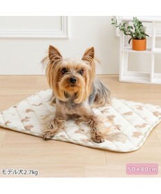 PET PARADISE ペットパラダイス くまさん クールマット Ｓ