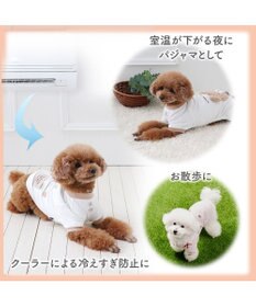 PET PARADISE ディズニー ドナルドダック サーモキープ お顔Tシャツ 小型犬