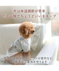 PET PARADISE ディズニー ドナルドダック サーモキープ お顔Tシャツ 小型犬