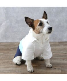 PET PARADISE J.PRESS スキッパーポロシャツ トリコロール 小型犬