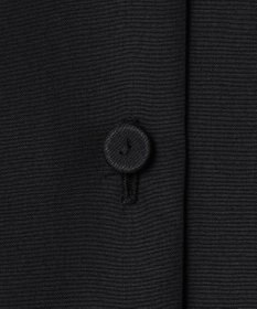 ICB 【WEB＆一部店舗限定】SustainableLace バンドカラー ブラウス