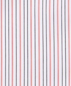 J.PRESS LADIES BEZハイネック フリル デコカラー