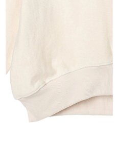 AMERICAN HOLIC ネップ裏毛ロゴスウェット